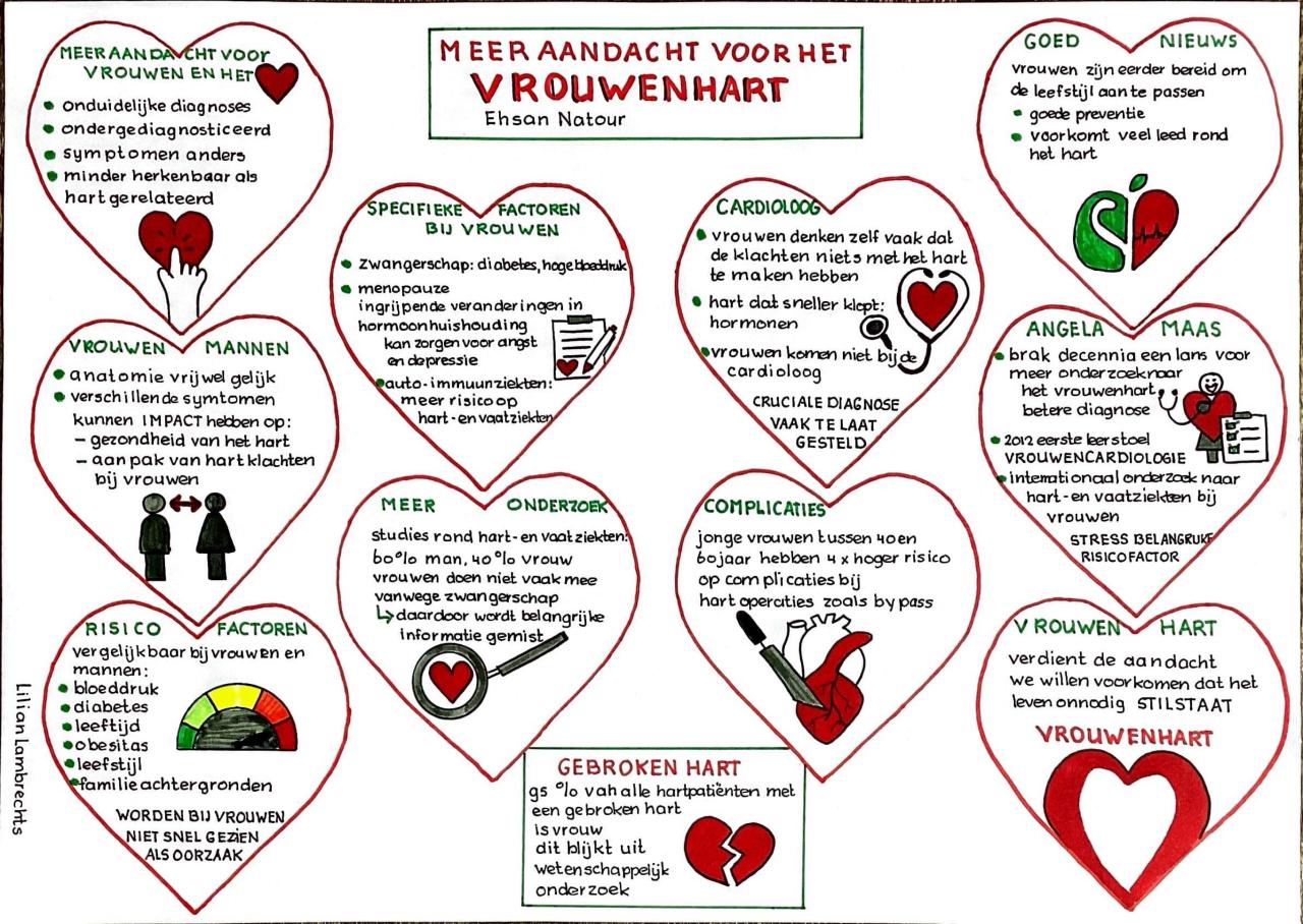De vrouwenhartproblematiek in één plaatje