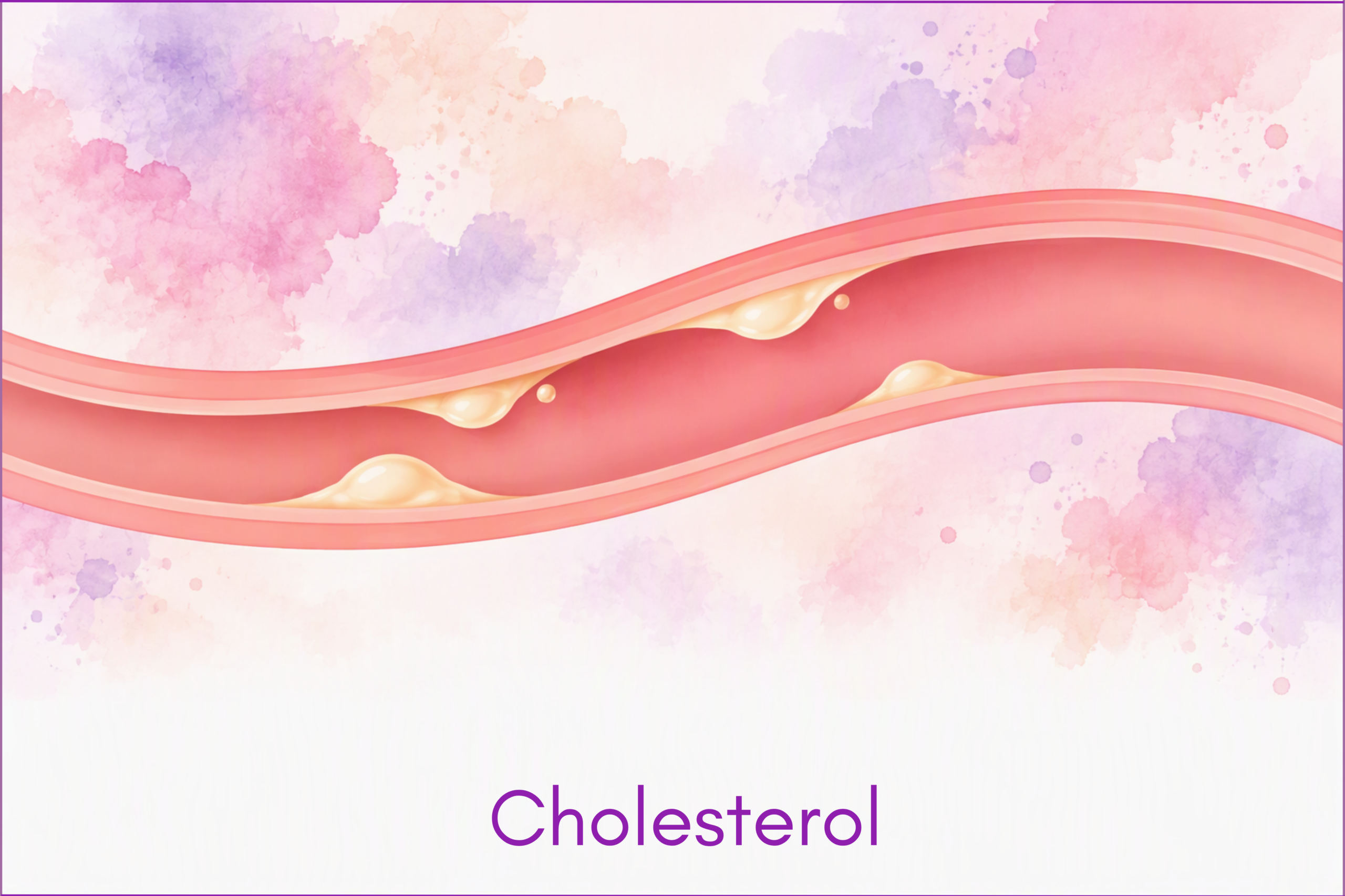 Wat is cholesterol?